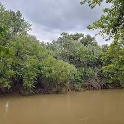 Mill Park - Moscow Mills, MO
