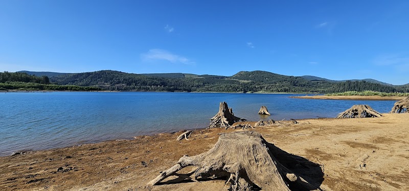 Mossyrock Park - Mossyrock, WA