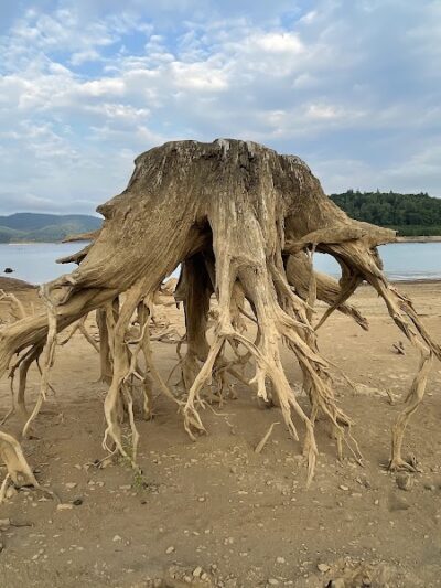 Mossyrock Park - Mossyrock, WA