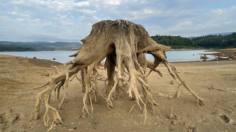 Mossyrock Park - Mossyrock, WA