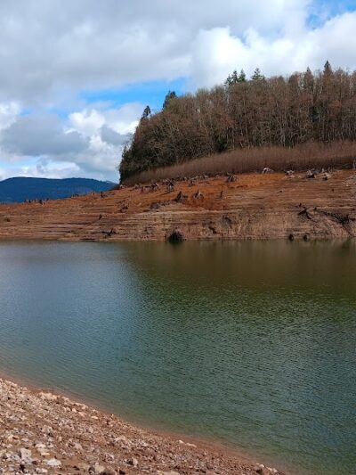 Mossyrock Park - Mossyrock, WA