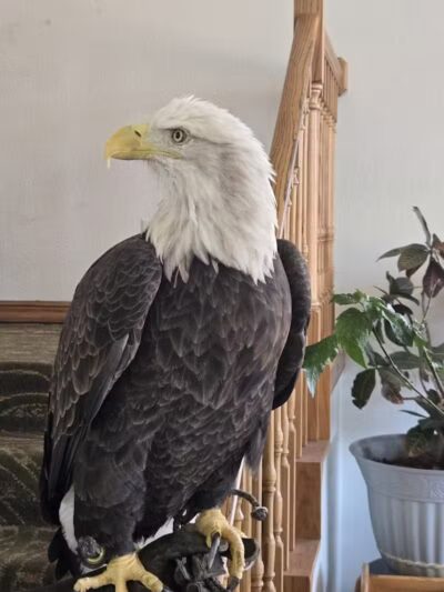 Super 8 by Wyndham Mound City - Mound City, MO