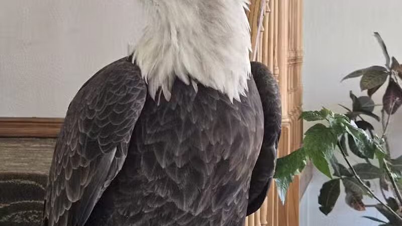 Super 8 by Wyndham Mound City - Mound City, MO