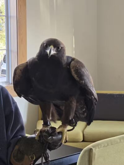 Super 8 by Wyndham Mound City - Mound City, MO