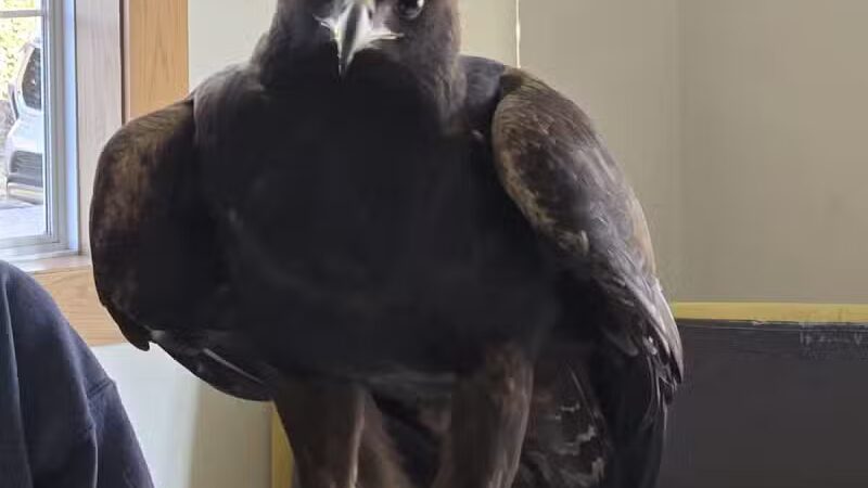 Super 8 by Wyndham Mound City - Mound City, MO