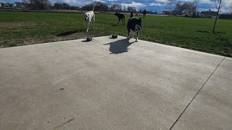 Bark Park
