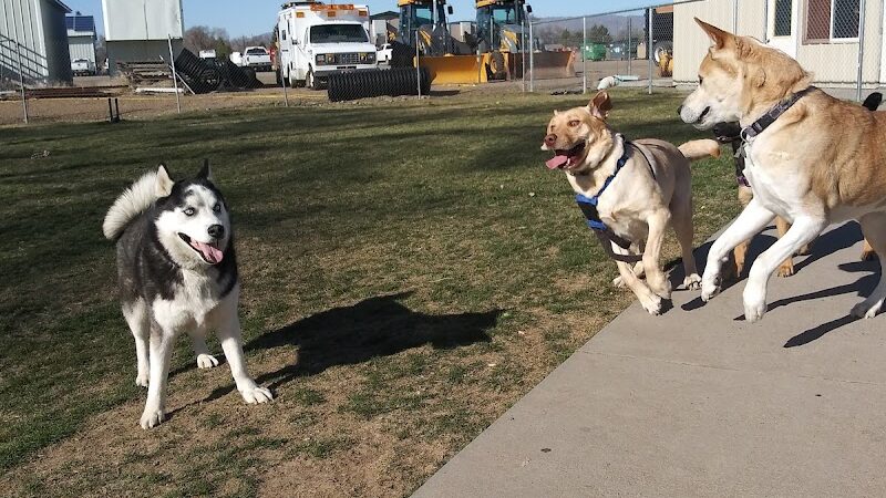Happy Tails Dog Park