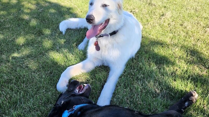 Happy Tails Dog Park