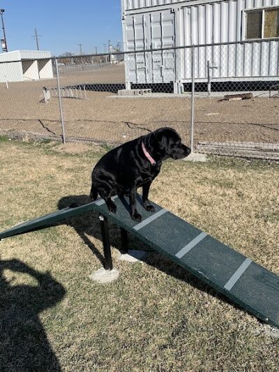 Happy Tails Dog Park