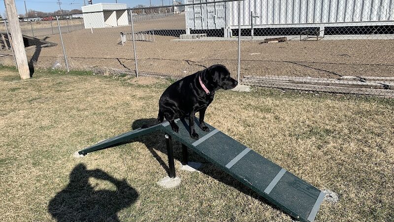 Happy Tails Dog Park