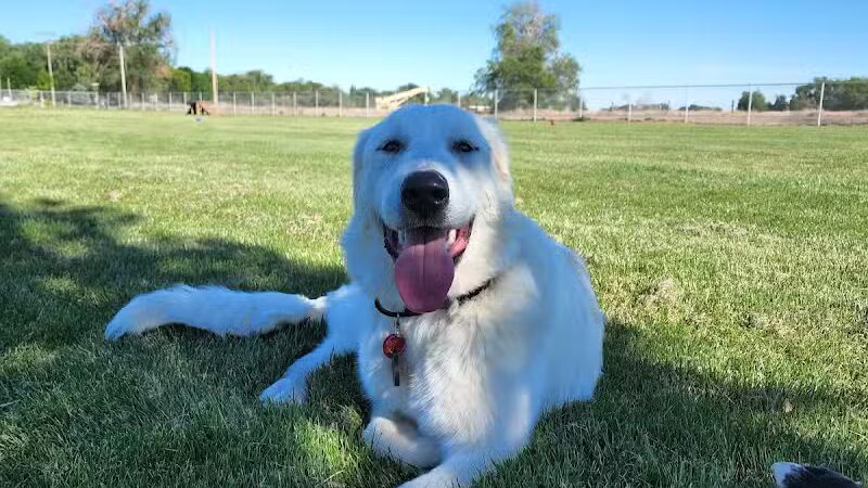 Happy Tails Dog Park