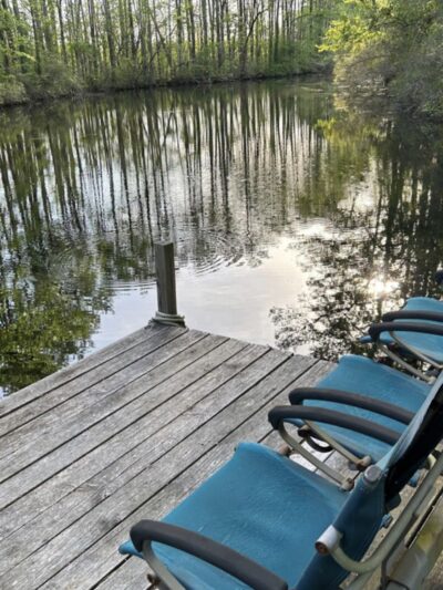 Paw’s Moyock 18 Acre Dog Park - Moyock, NC