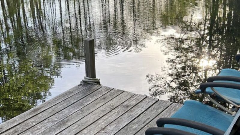 Paw’s Moyock 18 Acre Dog Park - Moyock, NC