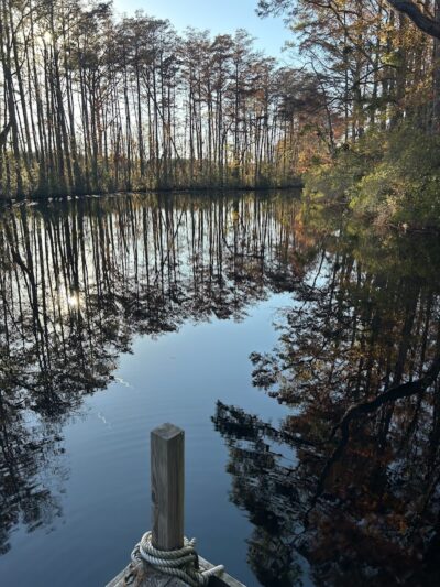 Paw’s Moyock 18 Acre Dog Park - Moyock, NC