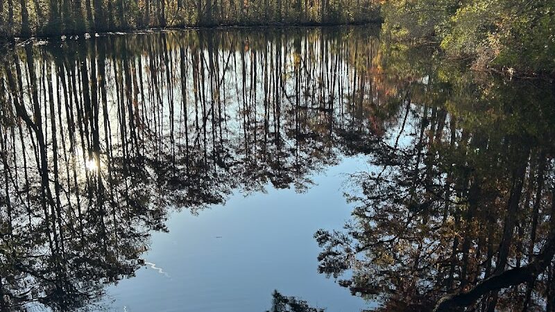 Paw’s Moyock 18 Acre Dog Park - Moyock, NC