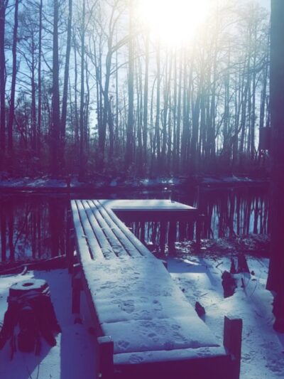 Paw’s Moyock 18 Acre Dog Park - Moyock, NC