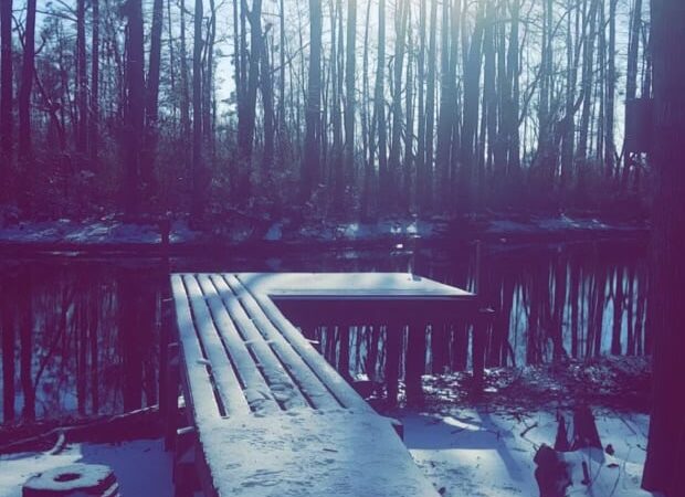 Paw’s Moyock 18 Acre Dog Park - Moyock, NC