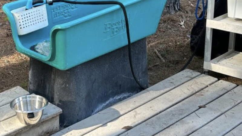 Paw’s Moyock 18 Acre Dog Park - Moyock, NC