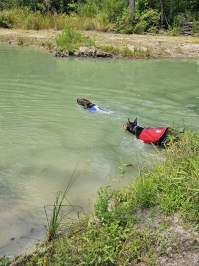 Paw’s Moyock 18 Acre Dog Park - Moyock, NC