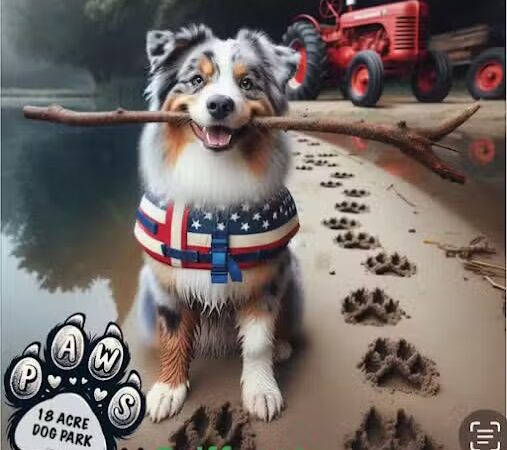 Paw’s Moyock 18 Acre Dog Park - Moyock, NC