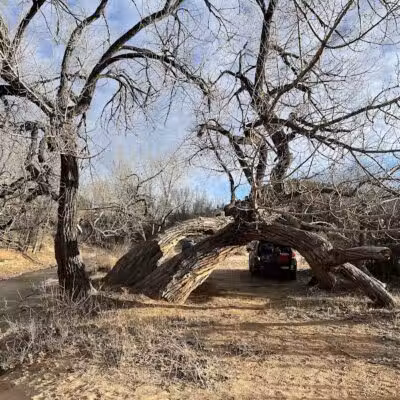 The Belly of the Dragon (Trailhead) - Mt Carmel, UT