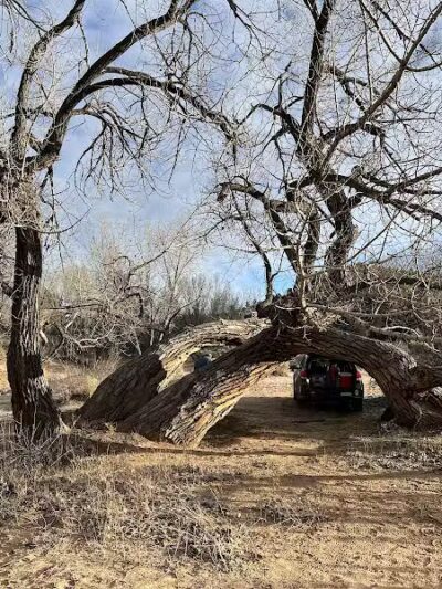 The Belly of the Dragon (Trailhead) - Mt Carmel, UT