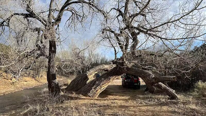 The Belly of the Dragon (Trailhead) - Mt Carmel, UT