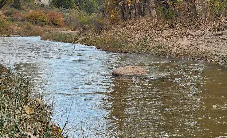 The Belly of the Dragon (Trailhead) - Mt Carmel, UT