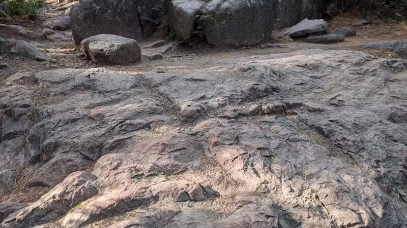 Bubbles Divide Trail - Mt Desert, ME