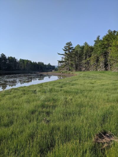 Babson Creek Preserve - Mt Desert, ME