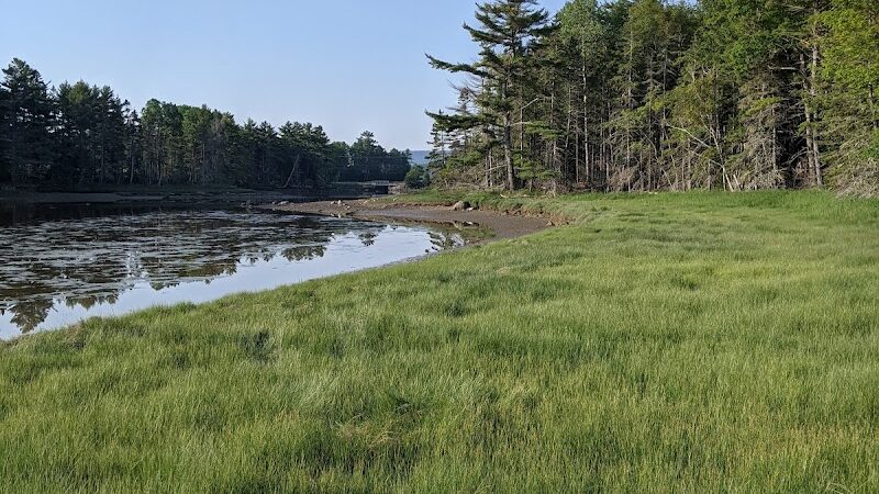 Babson Creek Preserve - Mt Desert, ME