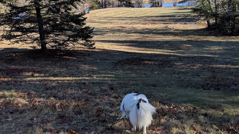 Babson Creek Preserve - Mt Desert, ME