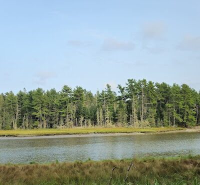 Babson Creek Preserve - Mt Desert, ME