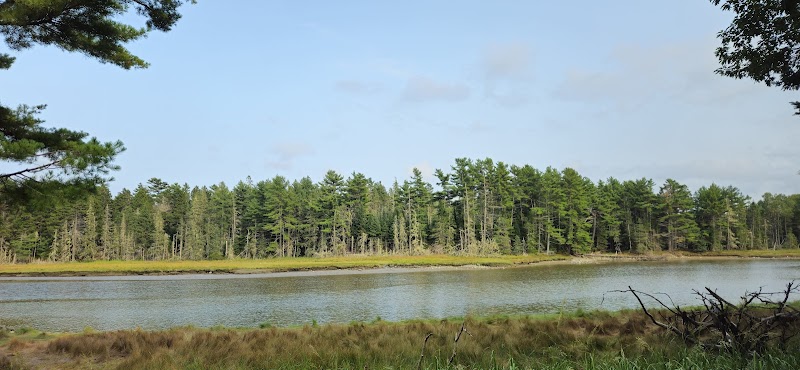 Babson Creek Preserve - Mt Desert, ME
