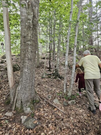 Babson Creek Preserve - Mt Desert, ME