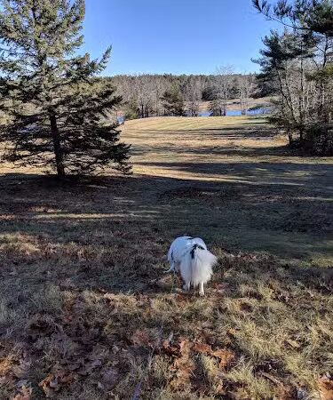 Babson Creek Preserve - Mt Desert, ME