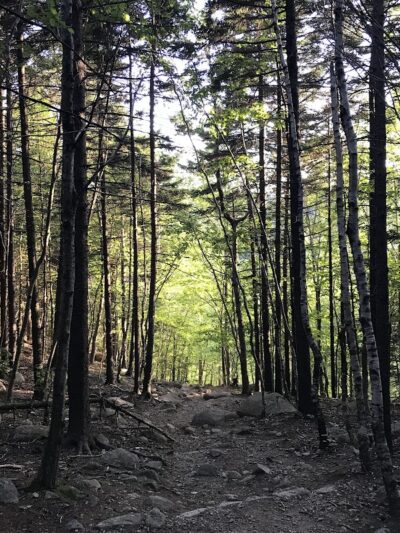 Bubbles Divide Trail - Mt Desert, ME