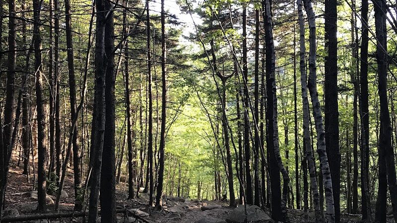 Bubbles Divide Trail - Mt Desert, ME