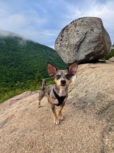 Bubbles Divide Trail - Mt Desert, ME