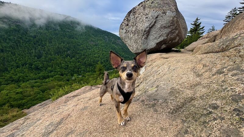 Bubbles Divide Trail - Mt Desert, ME