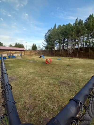 Gardendale Dog Park - Mt Olive, AL