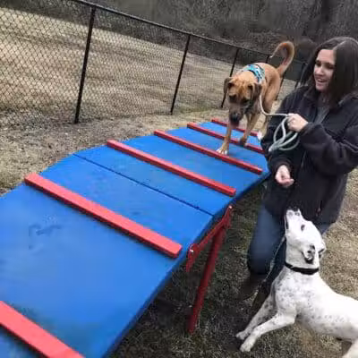 Gardendale Dog Park - Mt Olive, AL