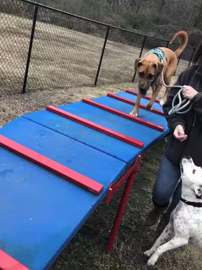 Gardendale Dog Park - Mt Olive, AL