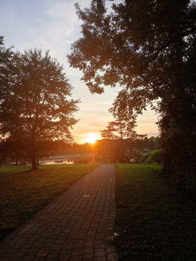 Mammoth Park - Mt Pleasant, PA