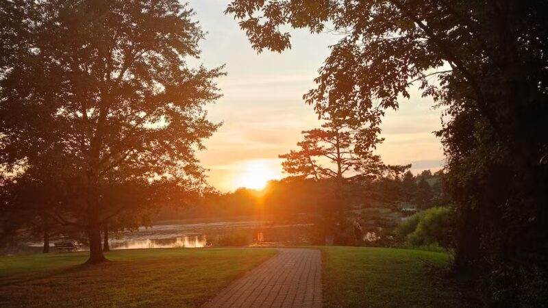 Mammoth Park - Mt Pleasant, PA