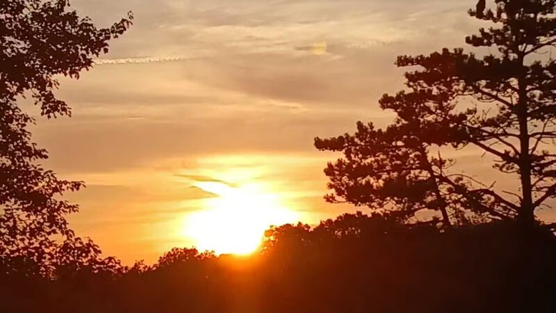 Mammoth Park - Mt Pleasant, PA