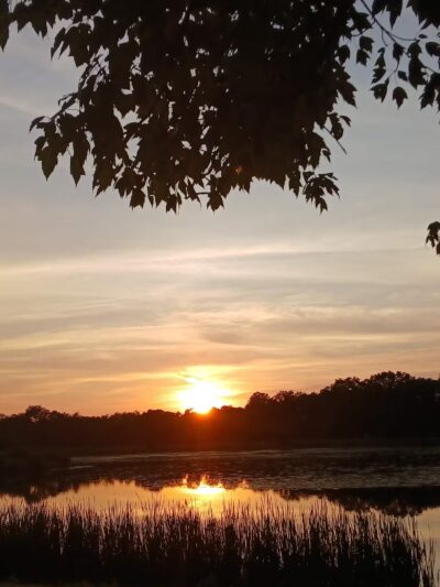 Mammoth Park - Mt Pleasant, PA