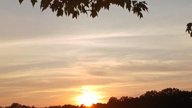 Mammoth Park - Mt Pleasant, PA