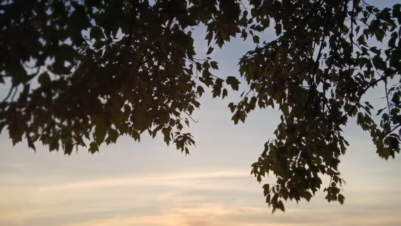 Mammoth Park - Mt Pleasant, PA