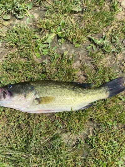 Bridgeport Dam Park - Mt Pleasant, PA